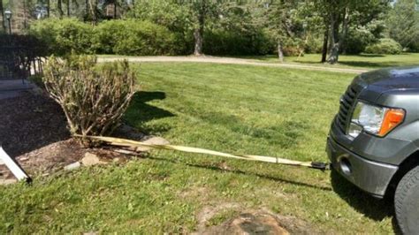 how to pull evergreen bushes out with skid steer|how to remove bushes from truck.